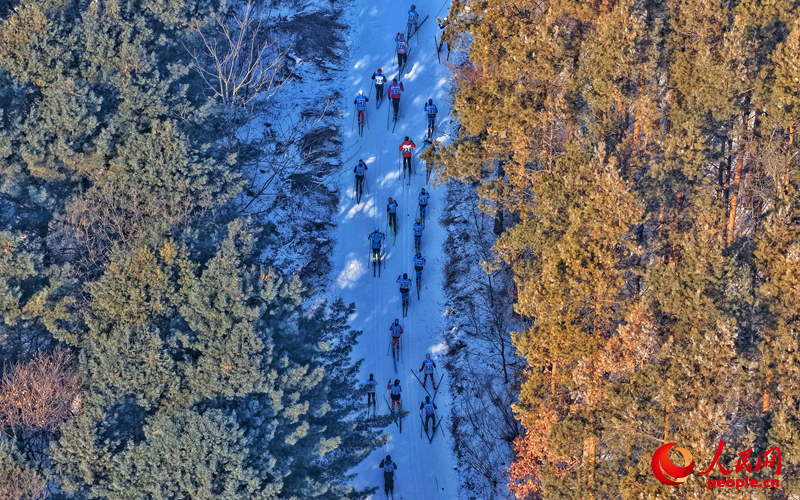 選手們馳騁在森林賽道中。人民網(wǎng)記者 李洋攝