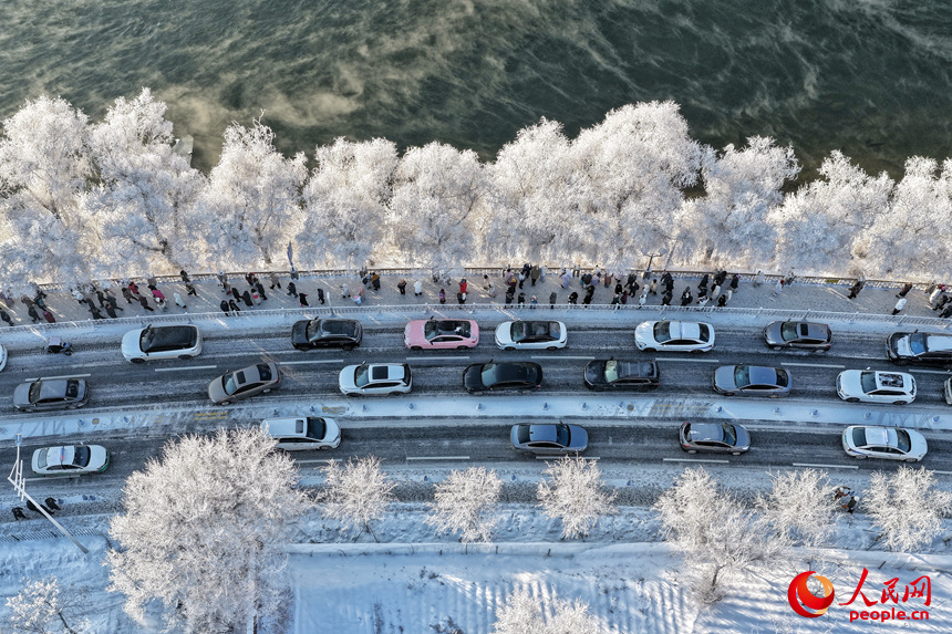 沿江公路兩側(cè)的行道樹換上了銀裝。人民網(wǎng)記者 李洋攝