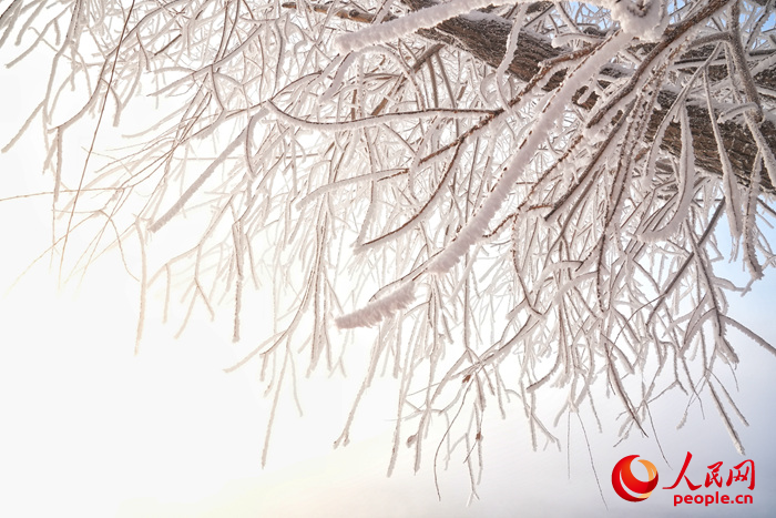 吉林霧凇景觀。人民網記者 李洋攝