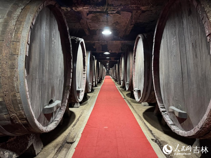 通葡地下大酒窖內絕版的巨型蒙古櫟木桶，現已是國家文物局歸列的附屬文物。人民網記者 李思玥攝