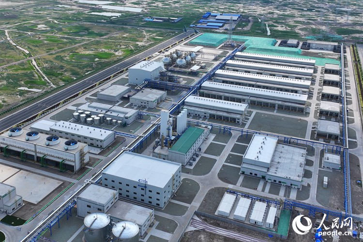 吉林大安風光制綠氫合成氨一體化示范項目。（資料照片）人民網記者 李洋攝