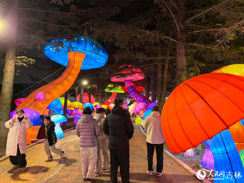 2月19日大年初三，長春動植物公園萬盞華燈迎客來，游人如織享新春。人民網記者 王帝元攝