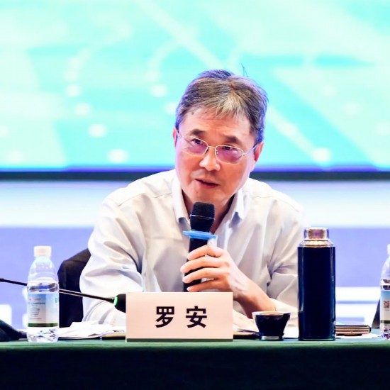 羅安發(fā)言